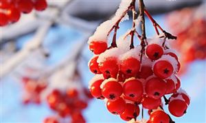 阀门行业全景调研:预计到2026年末我国阀门市场规模超1000亿元(图3) 阀门行业全景调研:预计到2026年末我国阀门市场规模超1000亿元(图3)